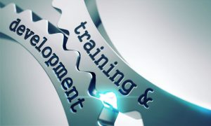Training software